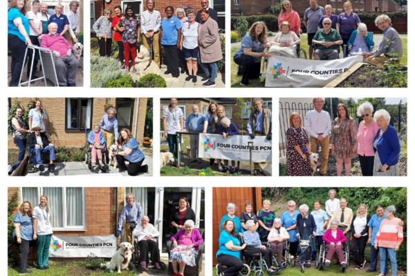 A collage of photos from the planting day