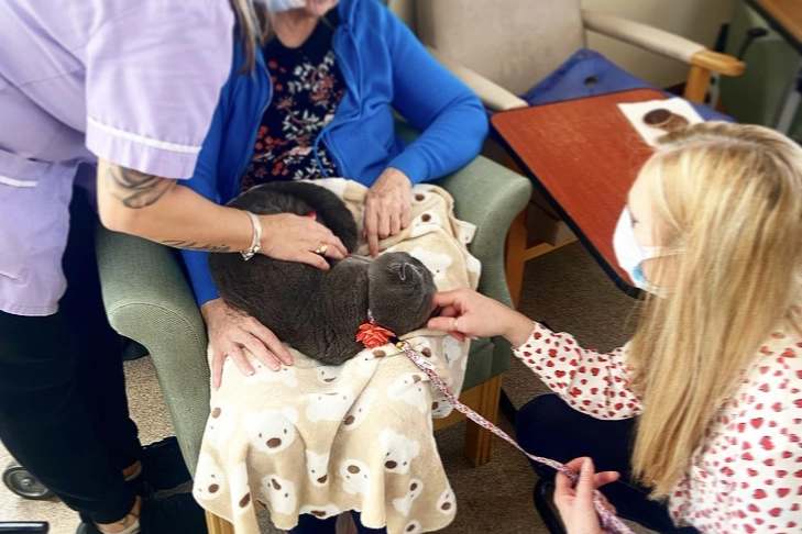 Image of staff with cats