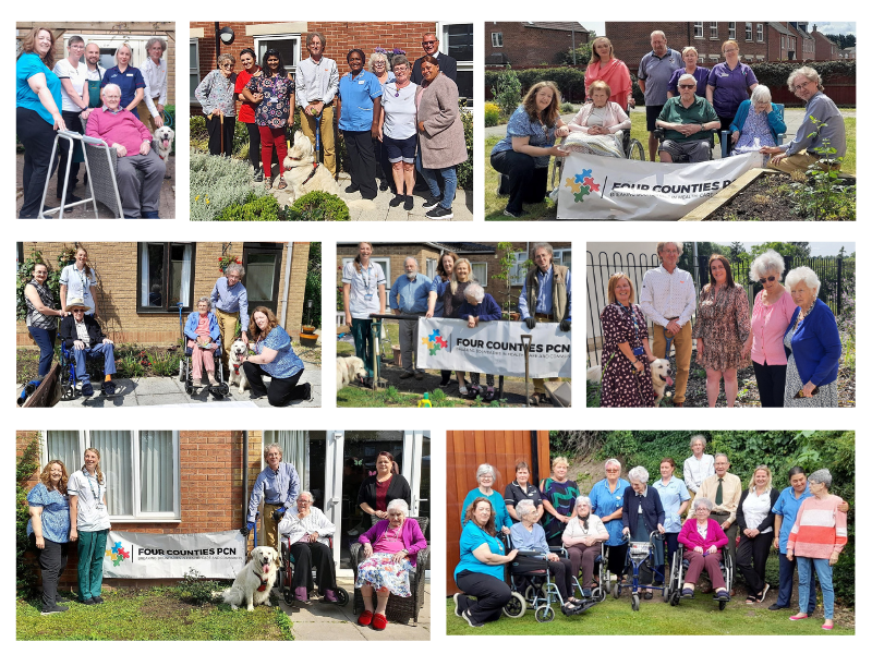 A collage of photos from the planting day