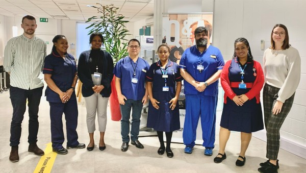 The Research Team